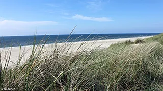 Strand in der Nähe von Vejers Aktivhus