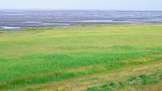 Strand in der Nähe von Mandø Hyggehus