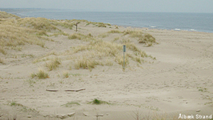 Strand in der Nähe von Hyttemagi Hus