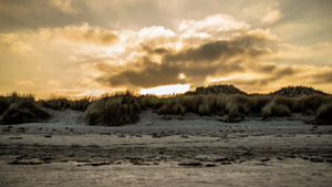 Strand in der Nähe von Knasborg Idyl