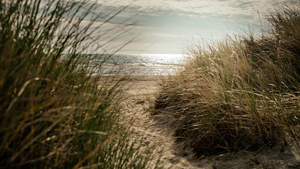 Strand in der Nähe von Knasborg Idyl