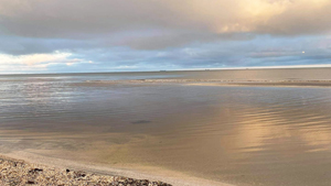 Strand in der Nähe von Knasborg Idyl