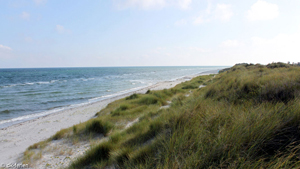 Strand in der Nähe von Elins Spahus