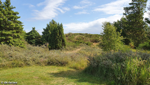 Ausblick von Annes Spahus