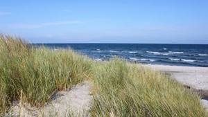 Strand in der Nähe von Annes Spahus