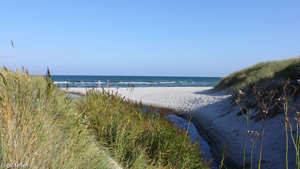 Strand in der Nähe von Annes Spahus