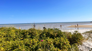 Strand in der Nähe von Øster Hurup Spahus