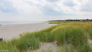 Strand in der Nähe von Polderrev Poolhus