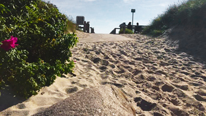 Strand in der Nähe von Ramskov Aktivhus