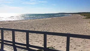 Strand in der Nähe von Ramskov Aktivhus