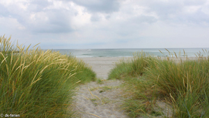 Strand in der Nähe von Ramskov Aktivhus