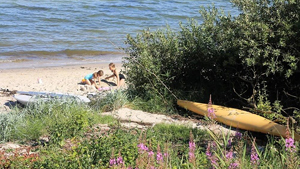 Strand in der Nähe von Vorbæk Spahus