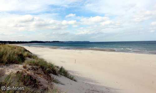 Blick auf den weitläufigen Sandstrand von Hornbæk mit der Ostsee im Hintergrund